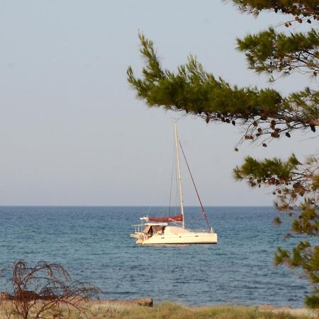 Appartamenti Fronte Mare 西尼斯科拉 外观 照片