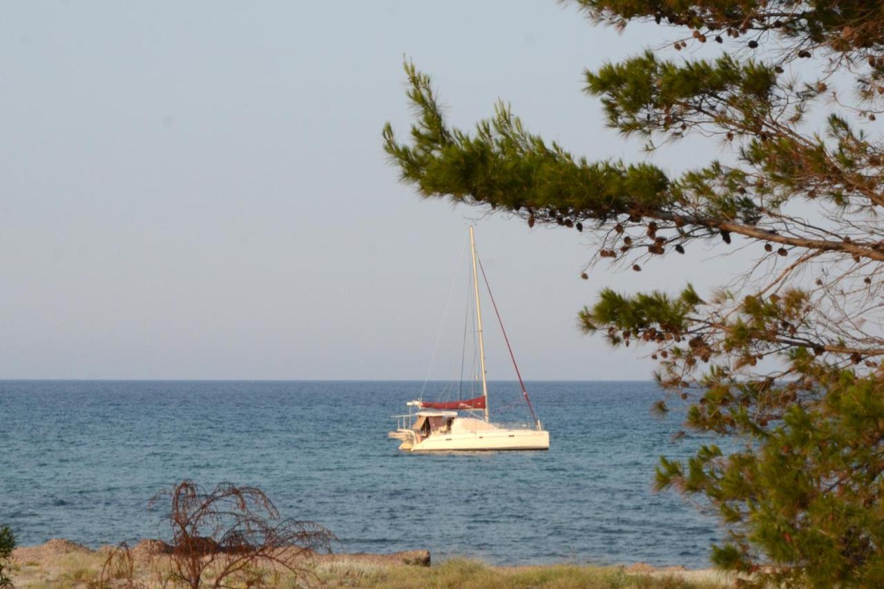 Appartamenti Fronte Mare 西尼斯科拉 外观 照片
